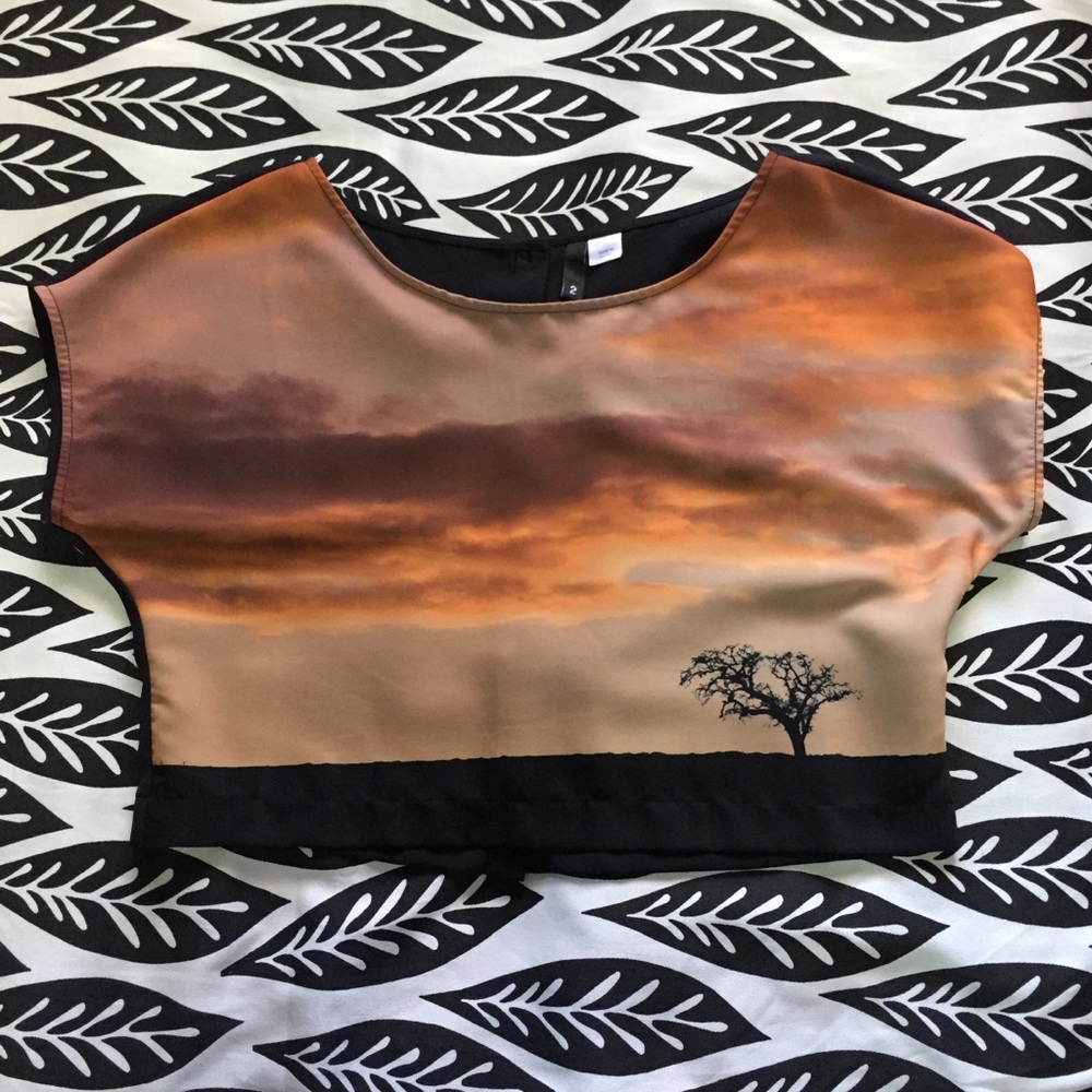 H&M Crop Top